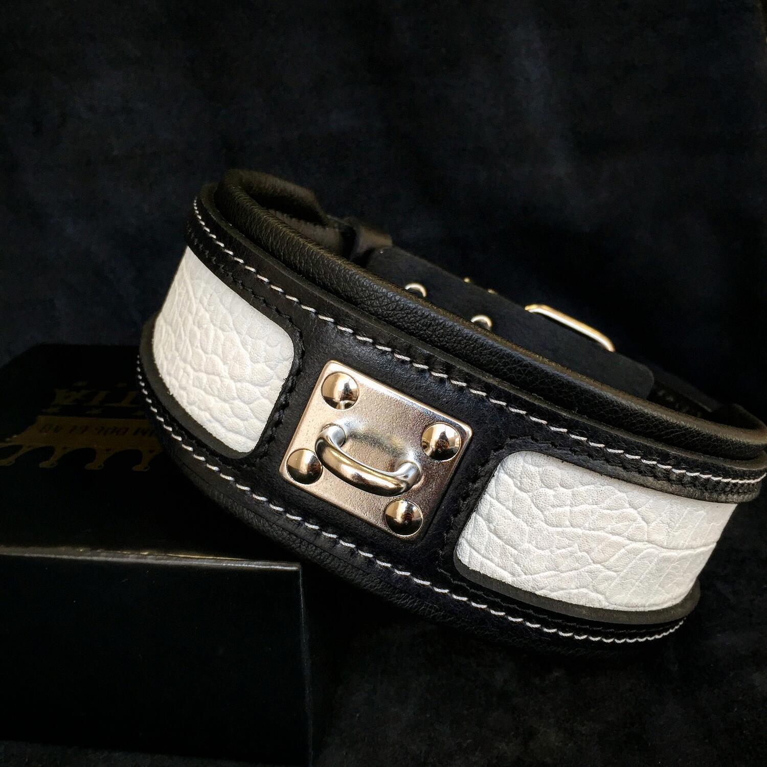 The "Reptile" collar - Tampa Home & Garden Store