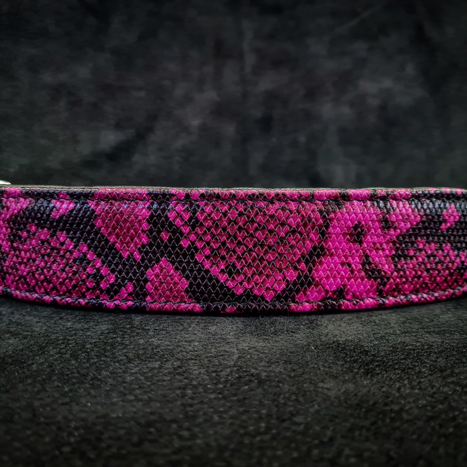 The ''Rock Python'' collar PINK - Tampa Home & Garden Store