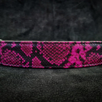 The ''Rock Python'' collar PINK - Tampa Home & Garden Store