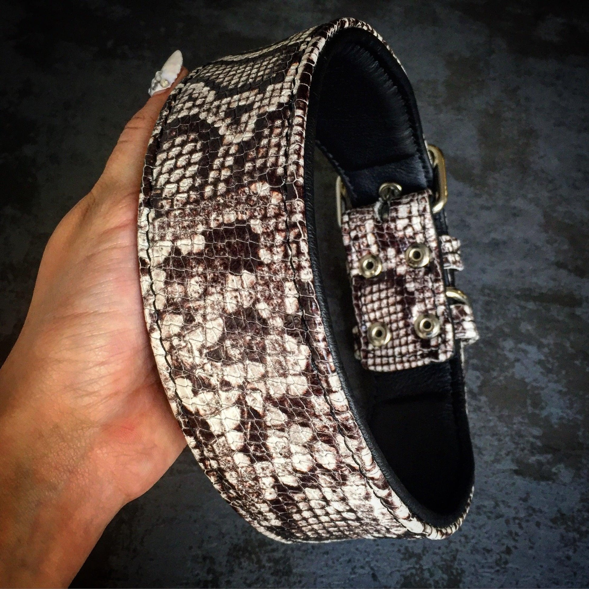 The ''Rock Python'' collar - Tampa Home & Garden Store