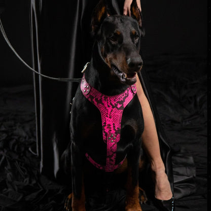 The ''Rock Python'' harness PINK - Tampa Home & Garden Store