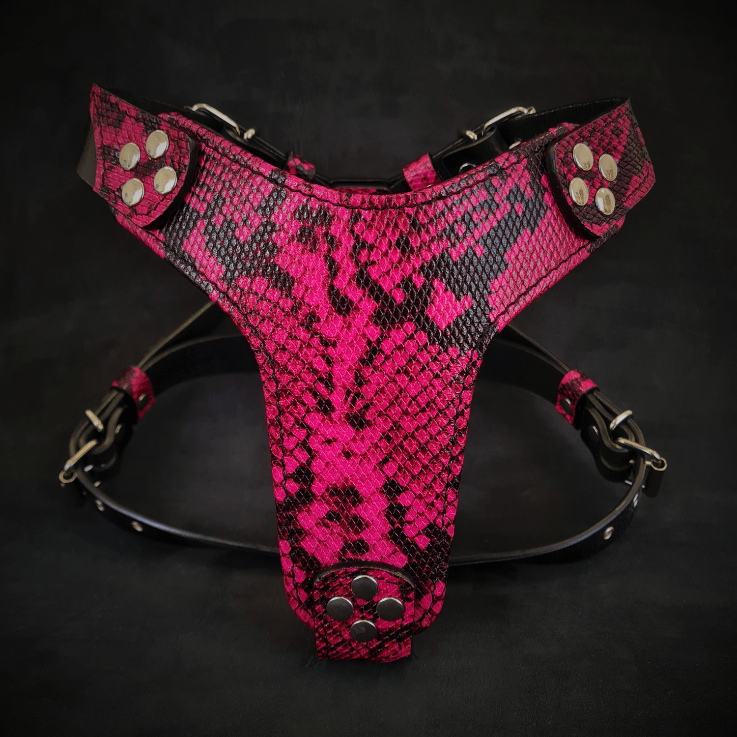 The ''Rock Python'' harness Small to Medium Size - Tampa Home & Garden Store