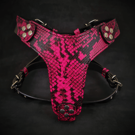 The ''Rock Python'' harness Small to Medium Size - Tampa Home & Garden Store