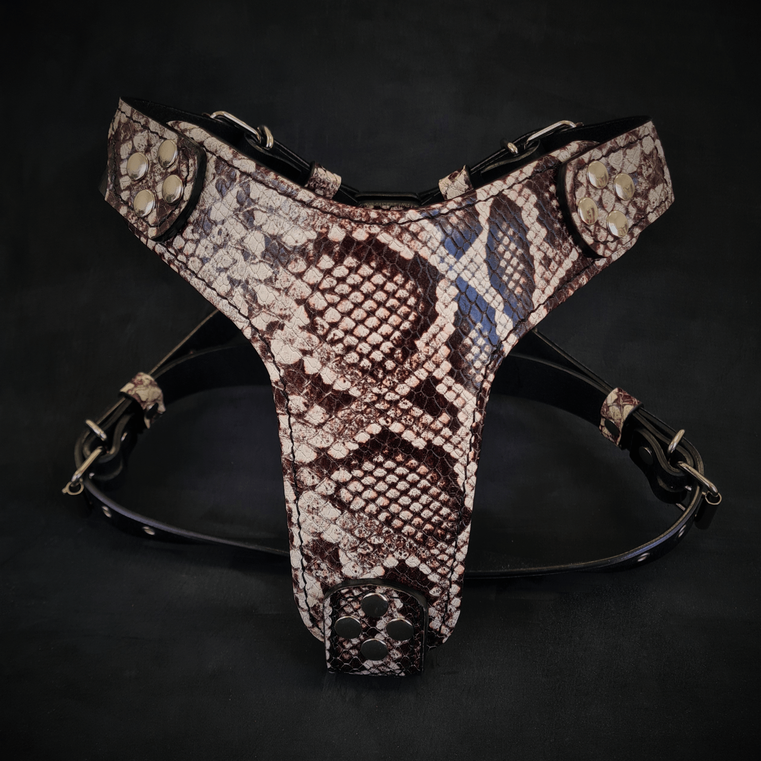 The ''Rock Python'' harness Small to Medium Size - Tampa Home & Garden Store