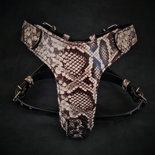 The ''Rock Python'' harness Small to Medium Size - Tampa Home & Garden Store