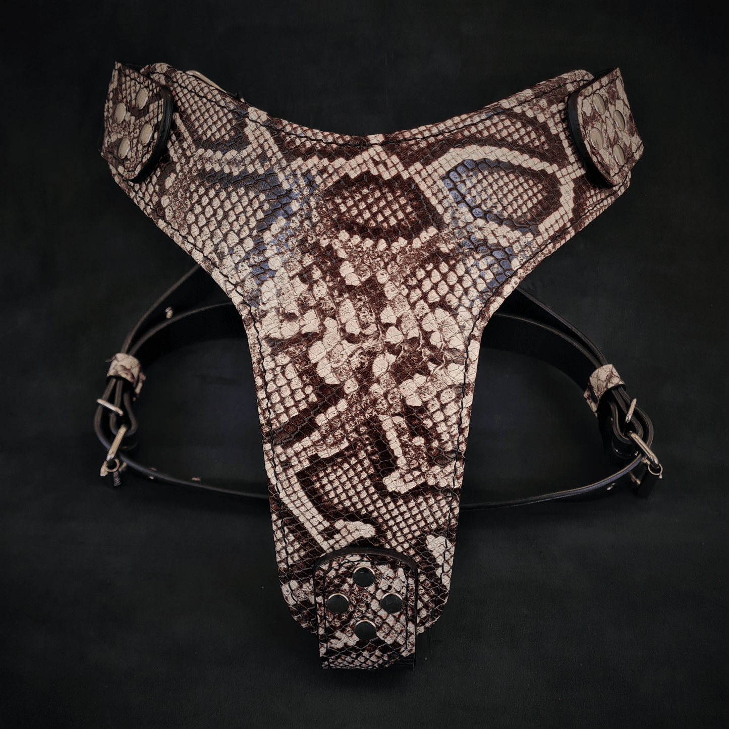 The ''Rock Python'' harness - Tampa Home & Garden Store