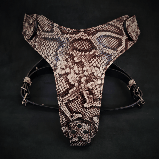 The ''Rock Python'' harness - Tampa Home & Garden Store
