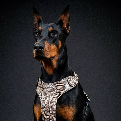 The ''Rock Python'' harness - Tampa Home & Garden Store