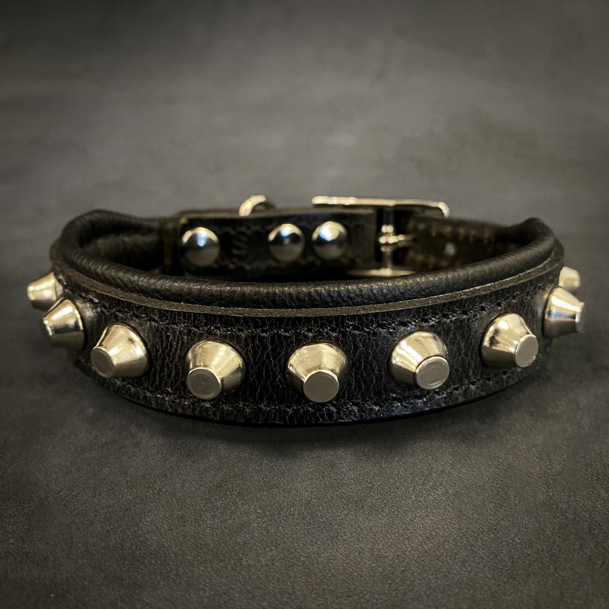 The "Rock" collar - Tampa Home & Garden Store