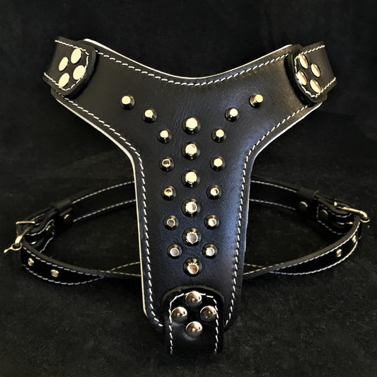 The "Rocky" studded leather harness Small to Medium Size - Tampa Home & Garden Store