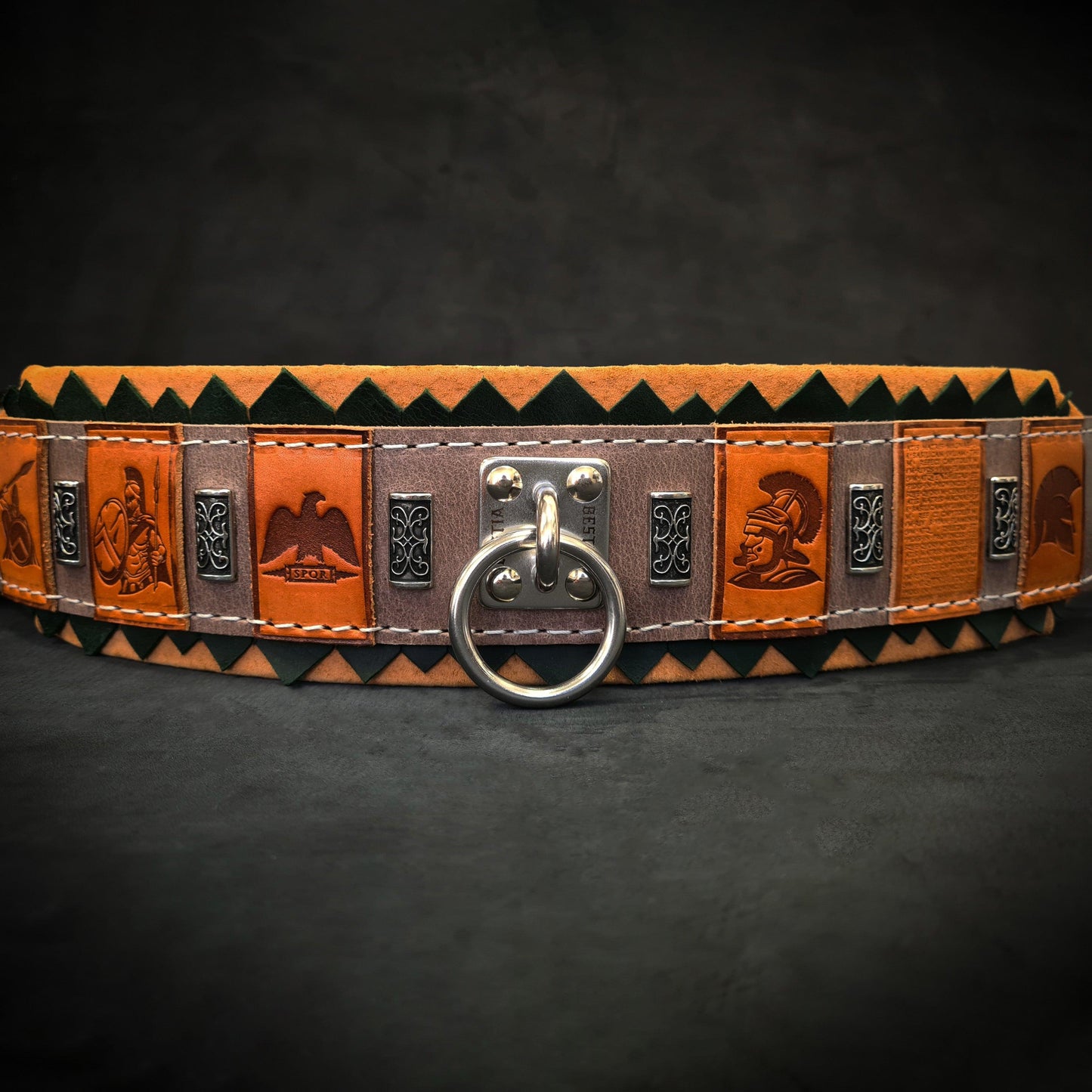 The ''SPQR'' Dog Collar - Tampa Home & Garden Store
