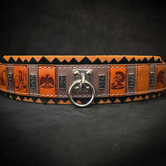 The ''SPQR'' Dog Collar - Tampa Home & Garden Store