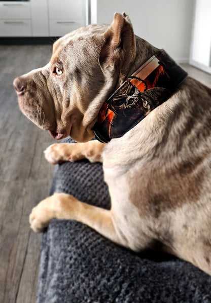 The Scare Collar Limited - Tampa Home & Garden Store