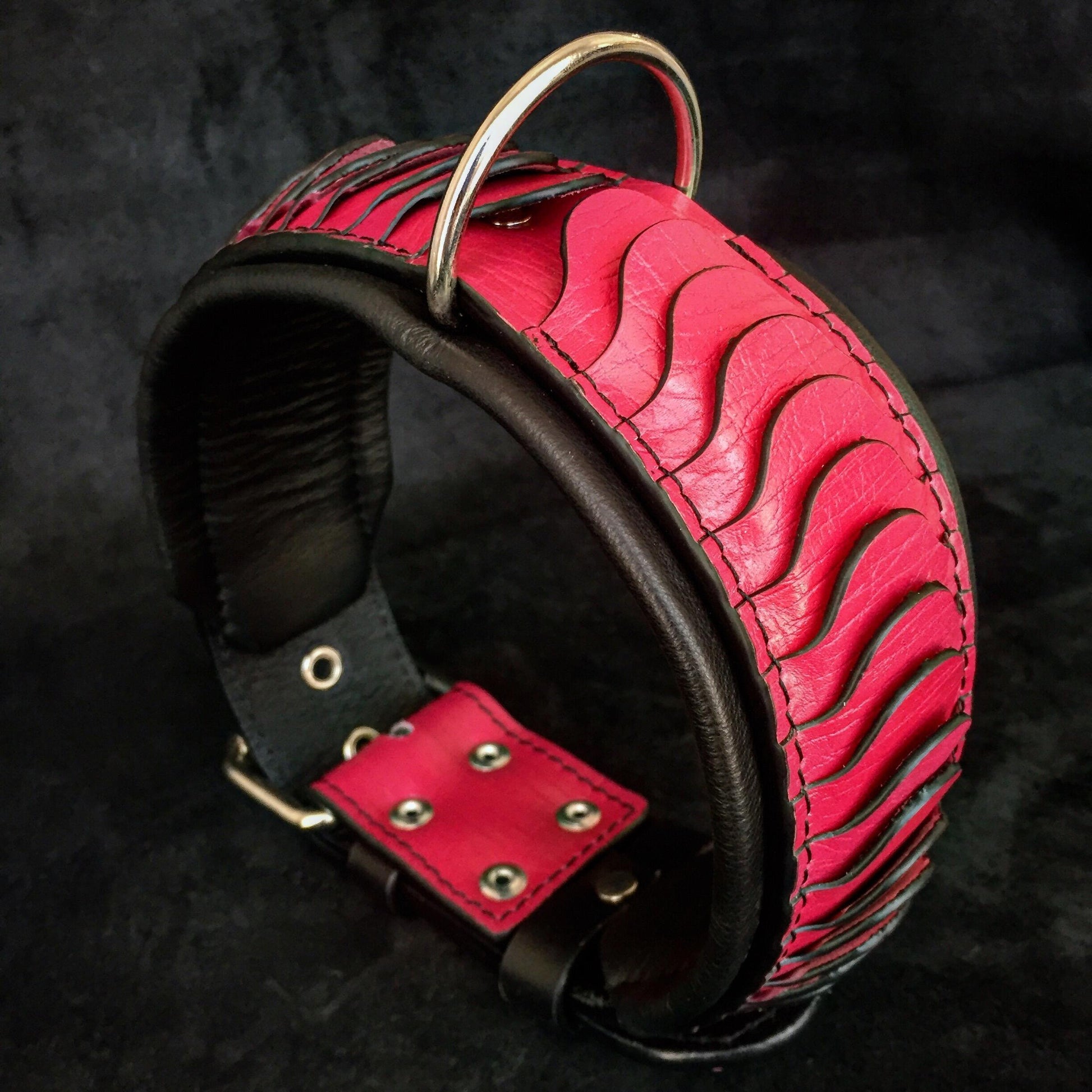 The ''Spine'' collar - Tampa Home & Garden Store