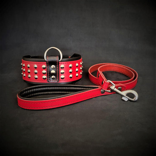 The "Star" Set- collar & leash - Tampa Home & Garden Store
