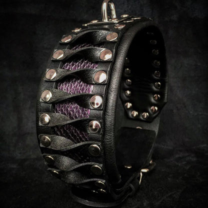 The ''Steampunk'' collar exclusive design - Tampa Home & Garden Store