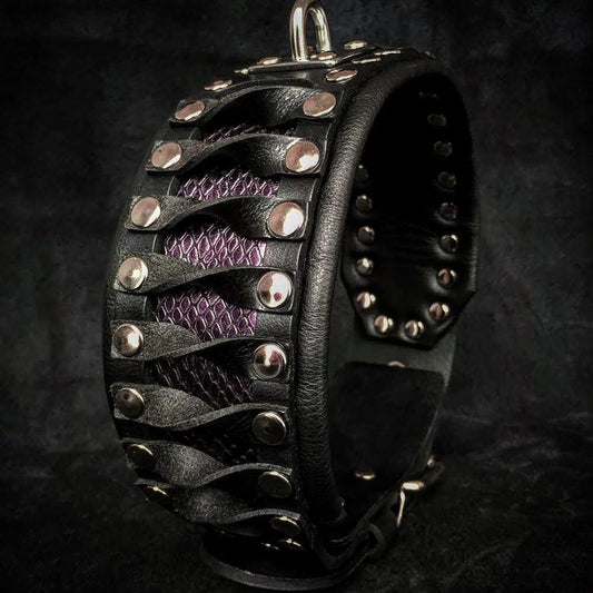 The ''Steampunk'' collar exclusive design - Tampa Home & Garden Store