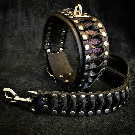 The "Steampunk" leash - Tampa Home & Garden Store