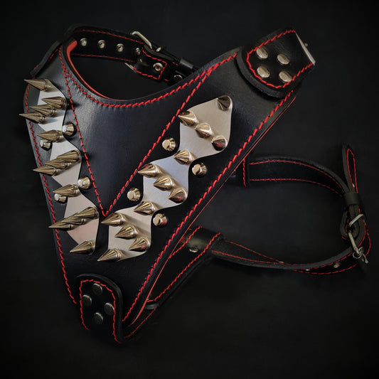 The "Steel" harness - Tampa Home & Garden Store
