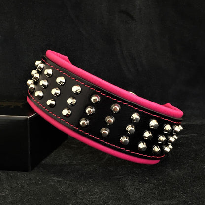 The "Stud" dog collar - Tampa Home & Garden Store
