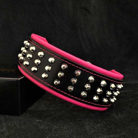 The "Stud" dog collar - Tampa Home & Garden Store