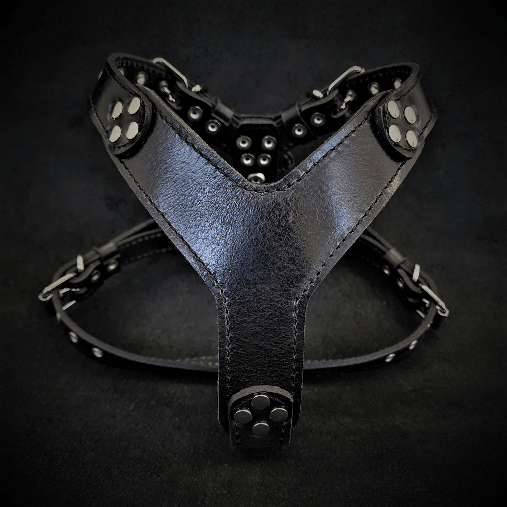 The ''Style'' harness Black Small to Medium Size - Tampa Home & Garden Store