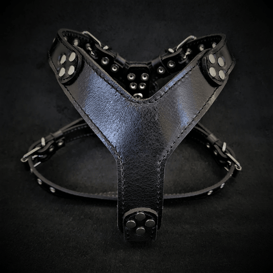 The ''Style'' harness Black Small to Medium Size - Tampa Home & Garden Store