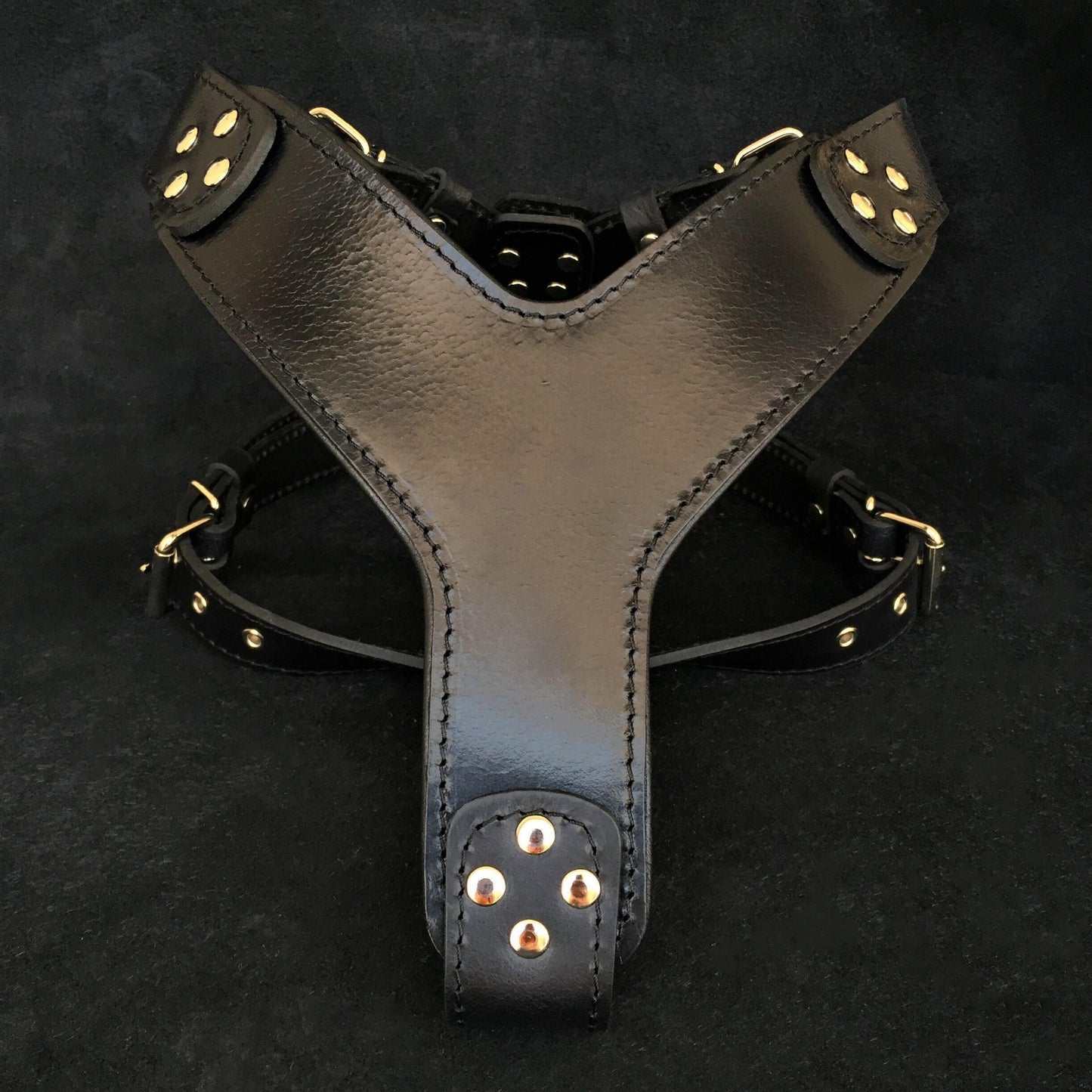 The ''Style'' harness Black - Tampa Home & Garden Store