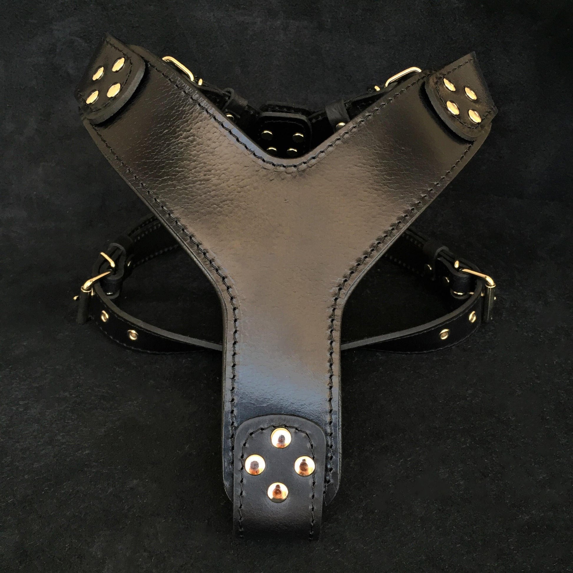 The ''Style'' harness Black - Tampa Home & Garden Store