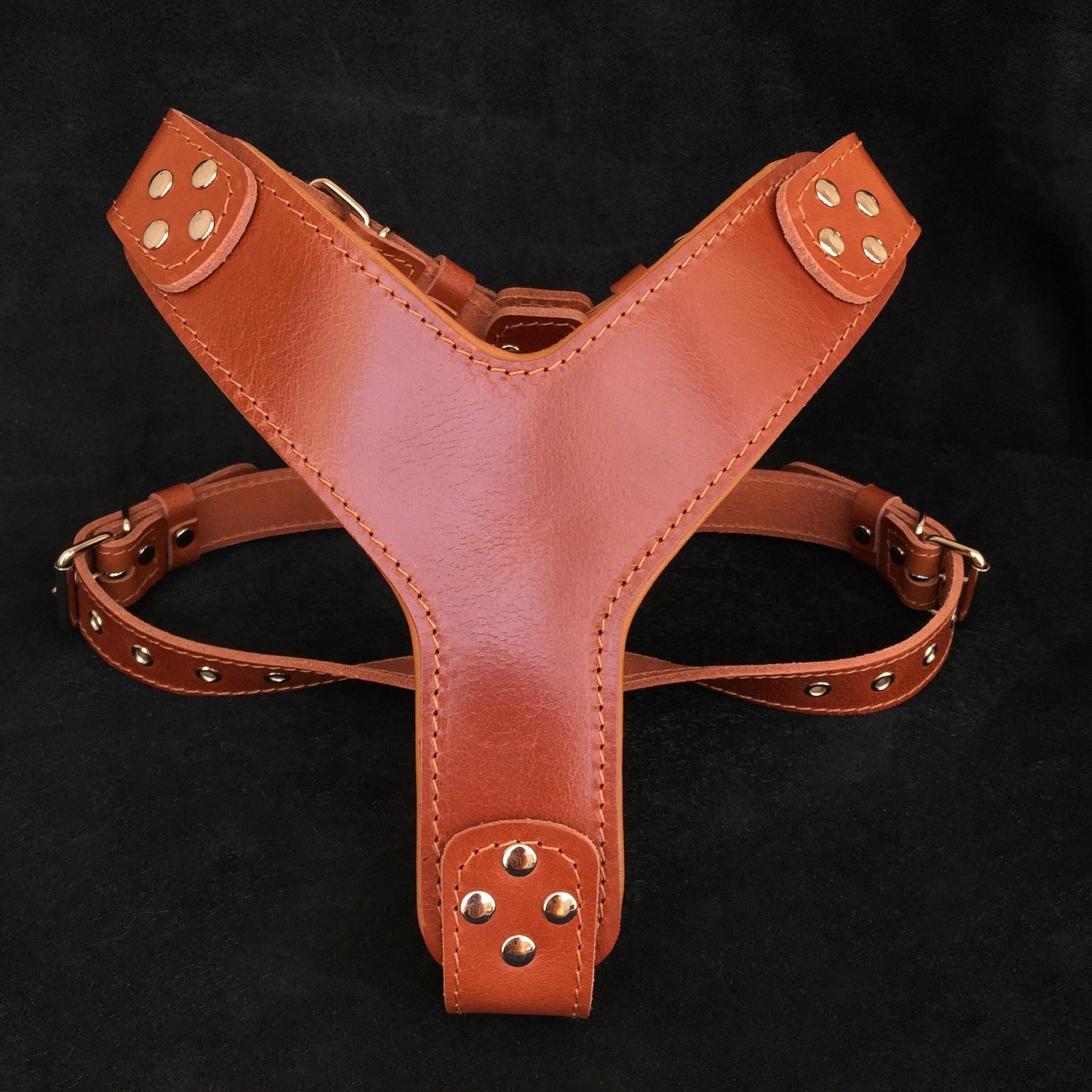 The ''Style'' harness Brown - Tampa Home & Garden Store