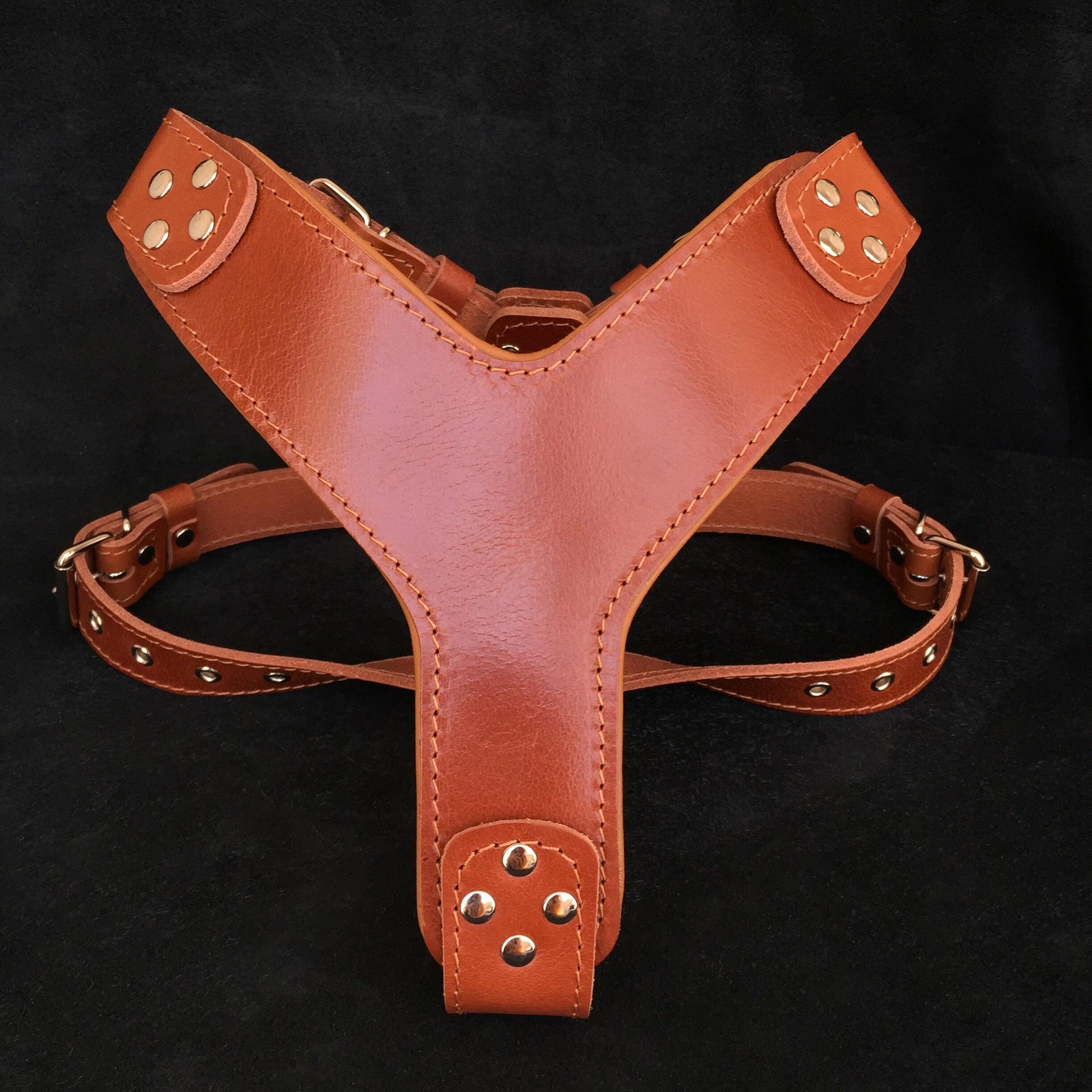 The ''Style'' harness Brown - Tampa Home & Garden Store