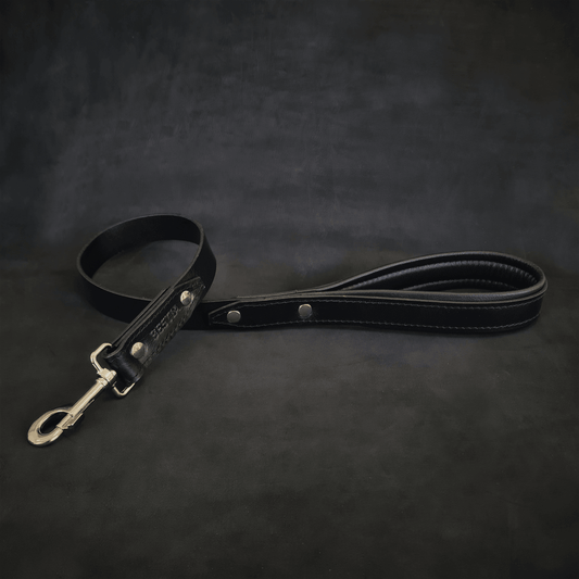 The "Style" leash - Tampa Home & Garden Store