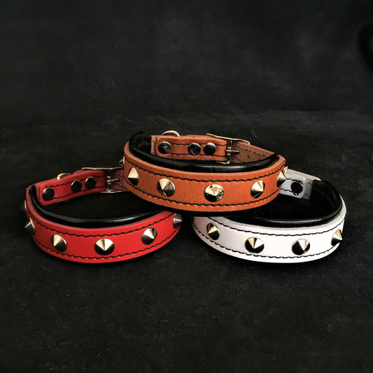 The "Superstar" puppy dog collar - Tampa Home & Garden Store