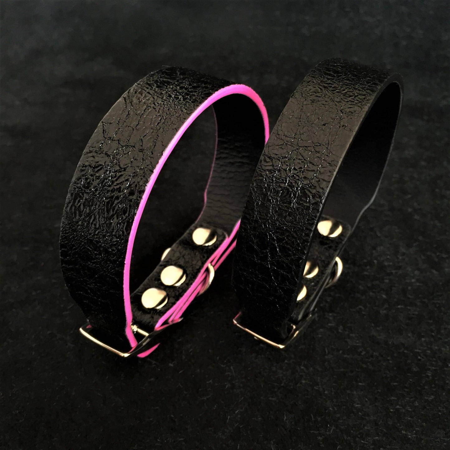 The ''Taurus'' puppy collar - Tampa Home & Garden Store
