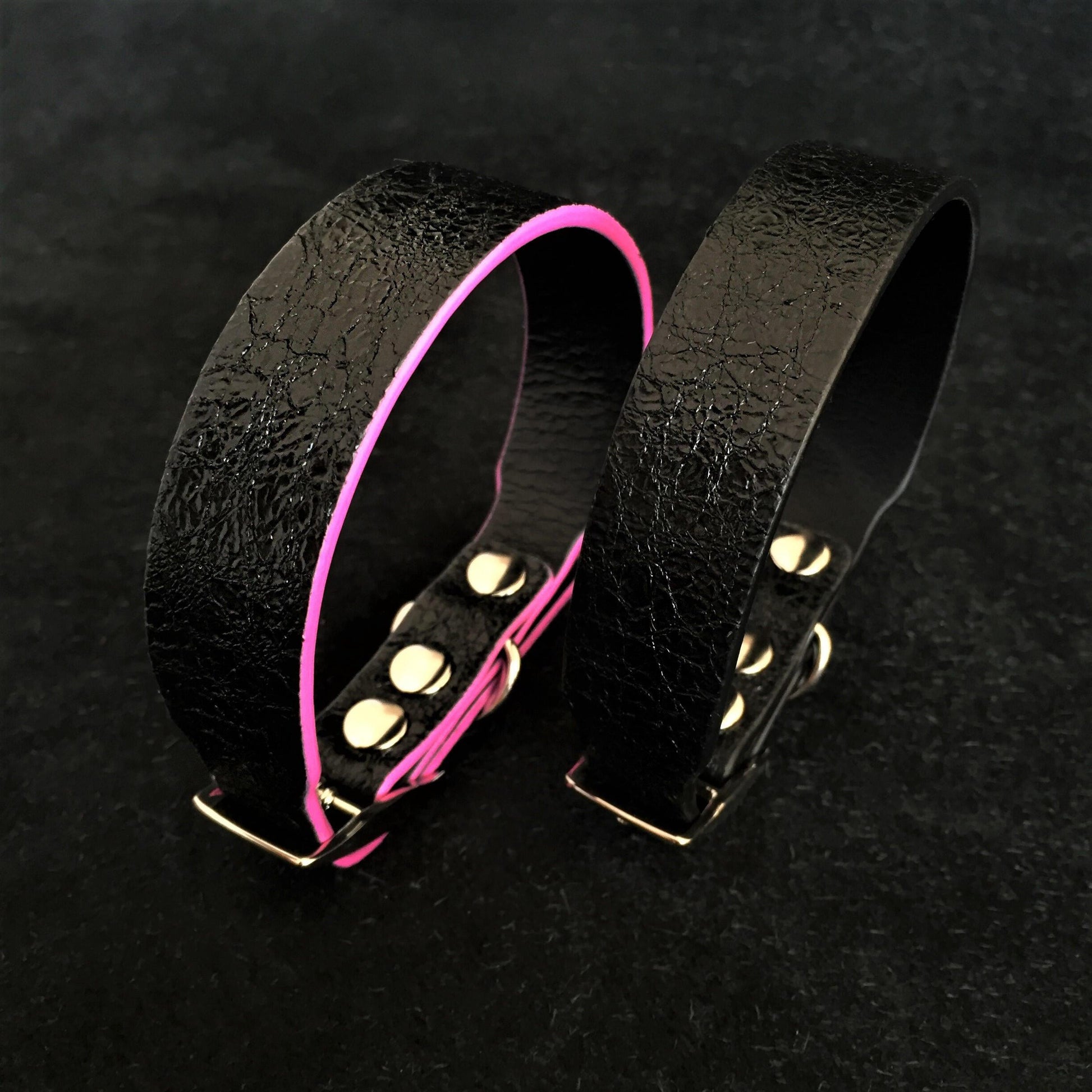 The ''Taurus'' puppy collar - Tampa Home & Garden Store