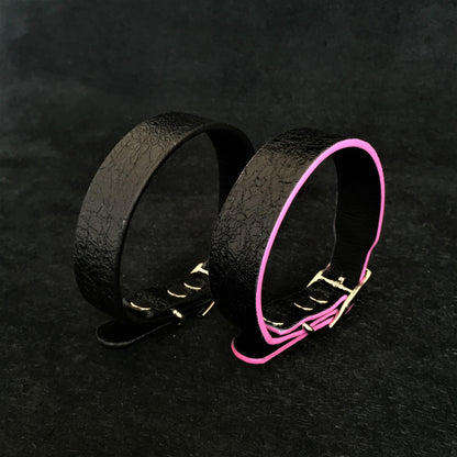 The ''Taurus'' puppy collar - Tampa Home & Garden Store
