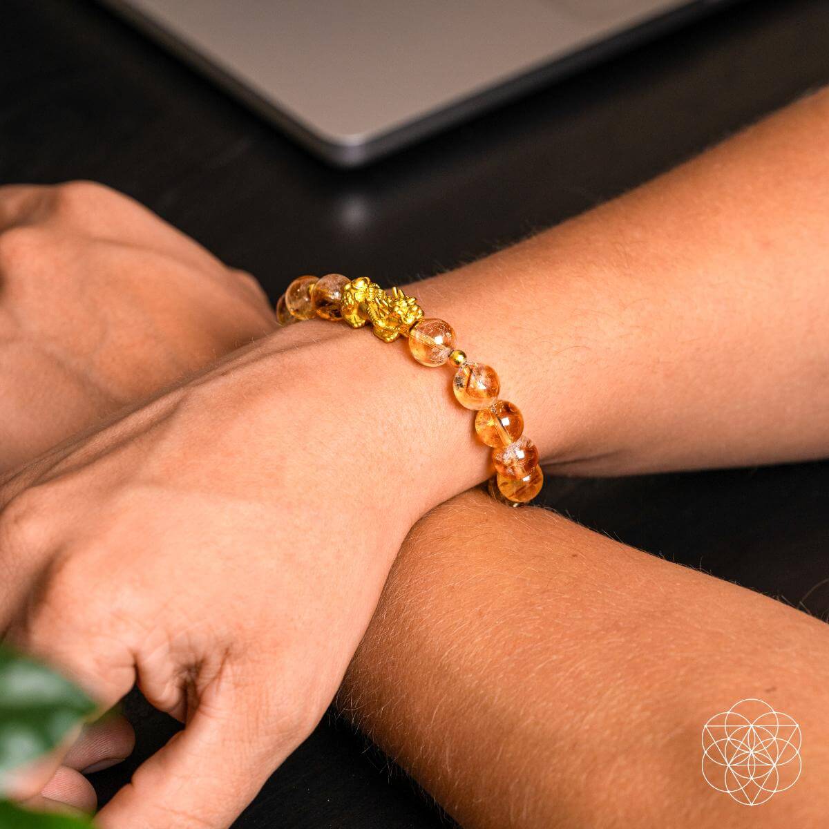 The Ultimate Wealth Bracelet - Tampa Home & Garden Store