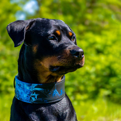 The Vader Limited Collar - Tampa Home & Garden Store