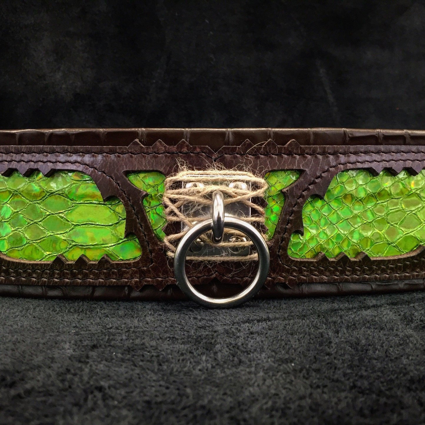 The ''Venom'' collar - Tampa Home & Garden Store