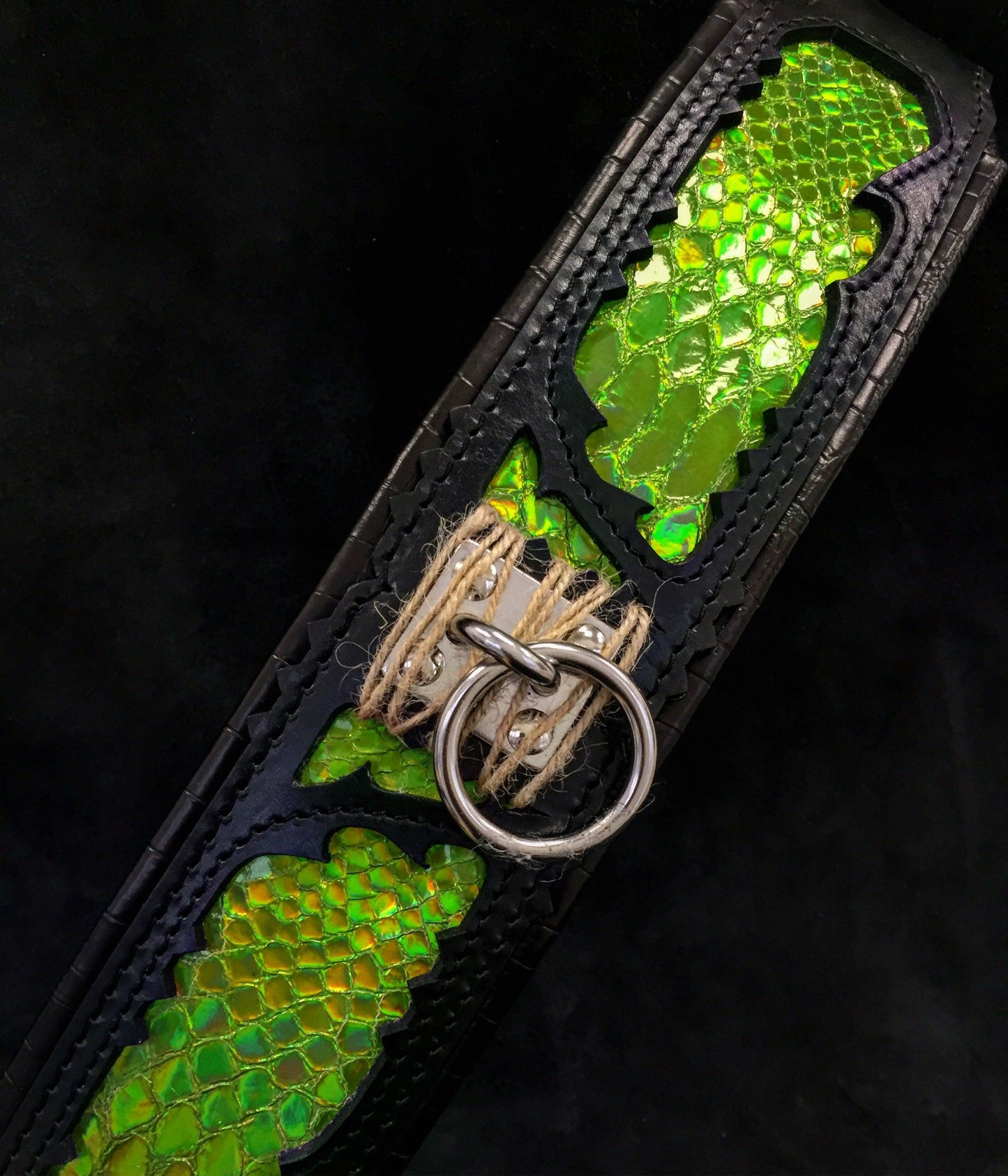 The ''Venom'' collar - Tampa Home & Garden Store