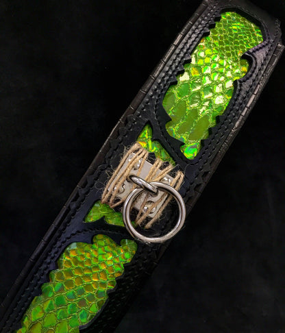 The ''Venom'' collar - Tampa Home & Garden Store
