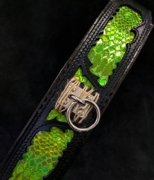 The ''Venom'' collar - Tampa Home & Garden Store