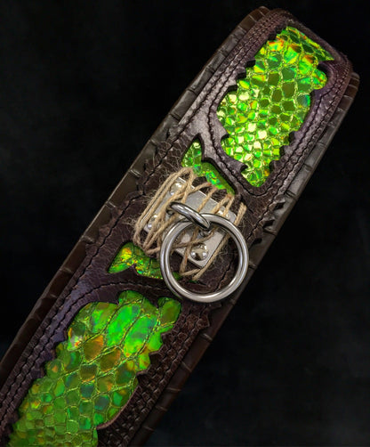 The ''Venom'' collar - Tampa Home & Garden Store