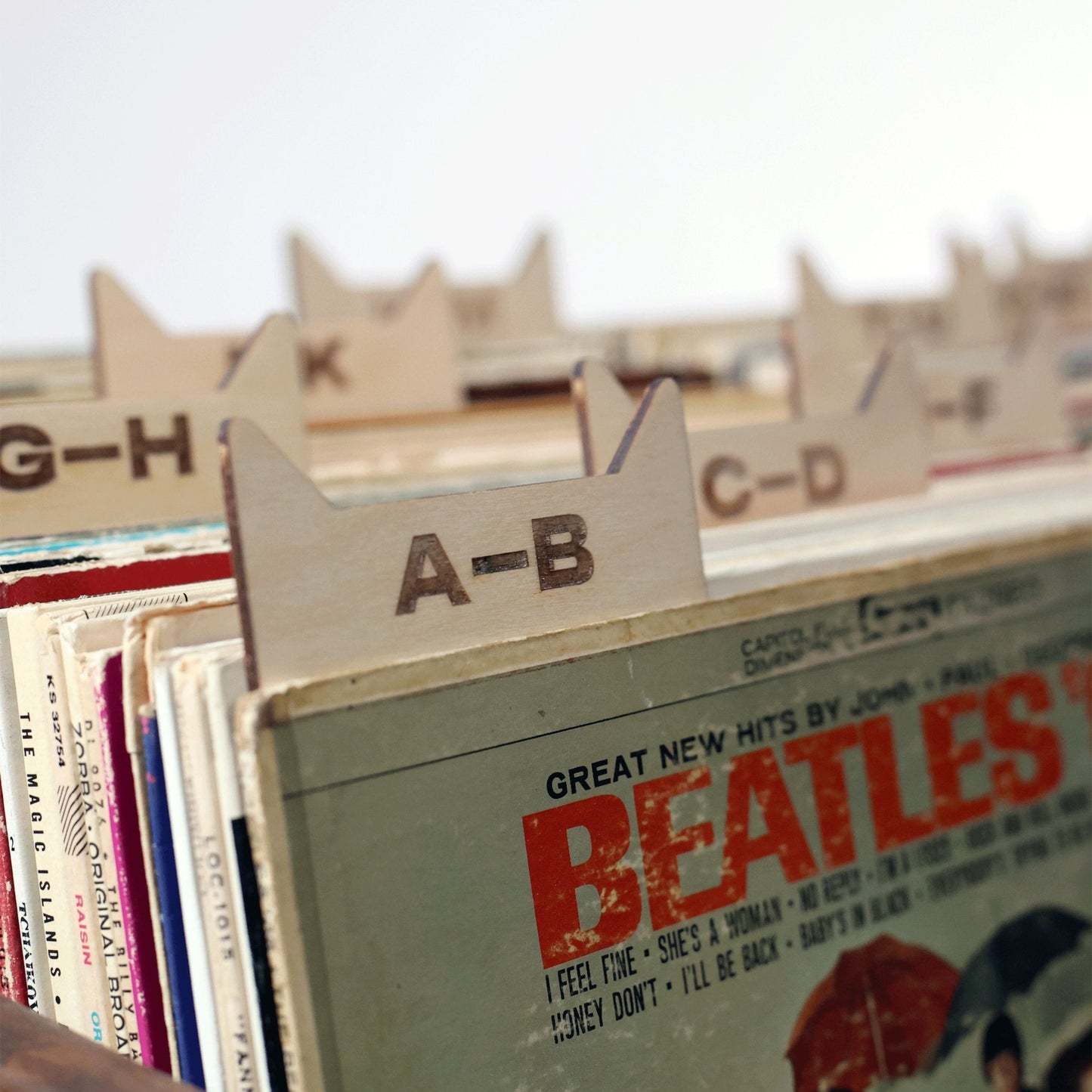 The Vinyl Record Dividers - Tampa Home & Garden Store