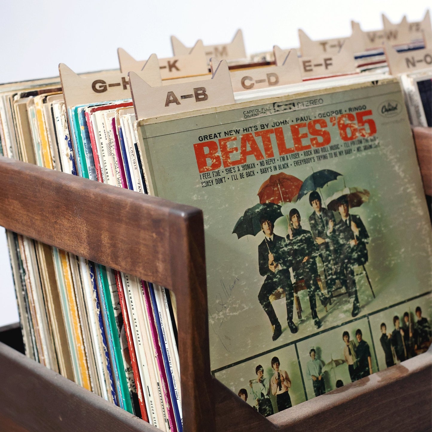 The Vinyl Record Dividers - Tampa Home & Garden Store