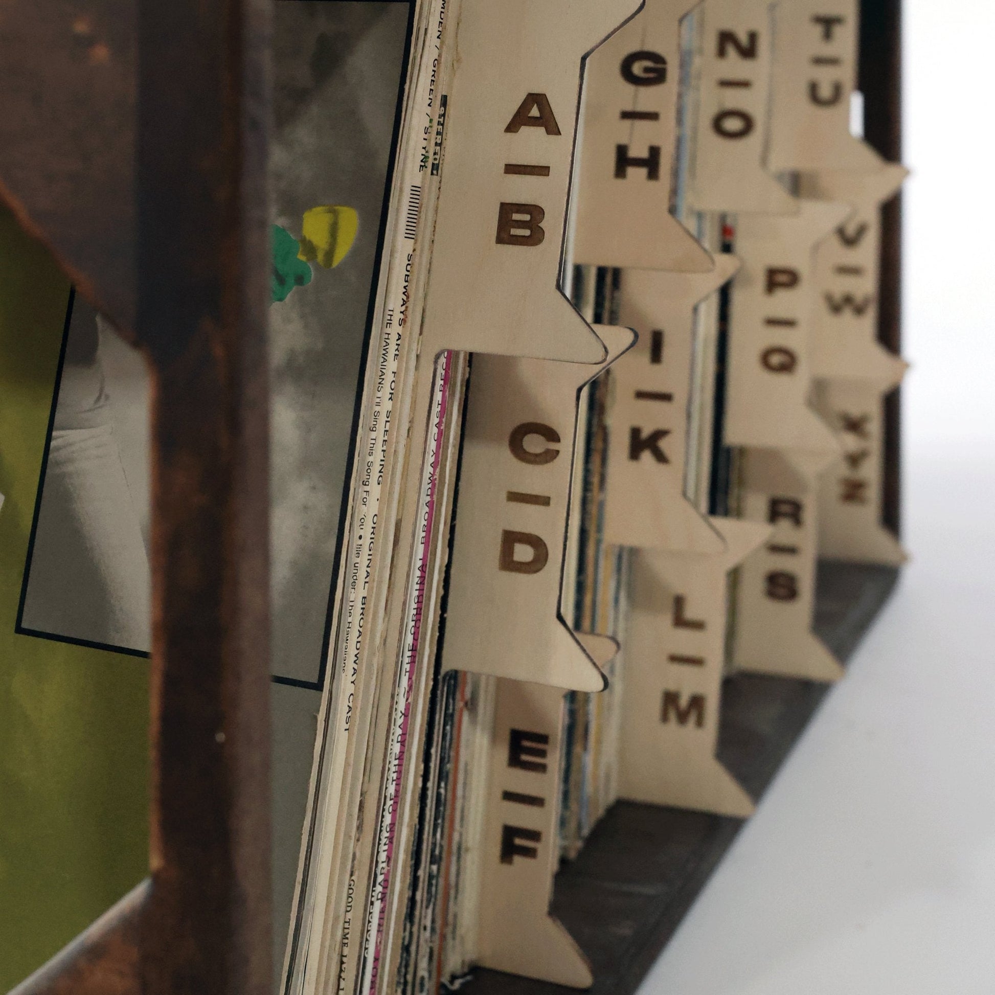 The Vinyl Record Dividers - Tampa Home & Garden Store