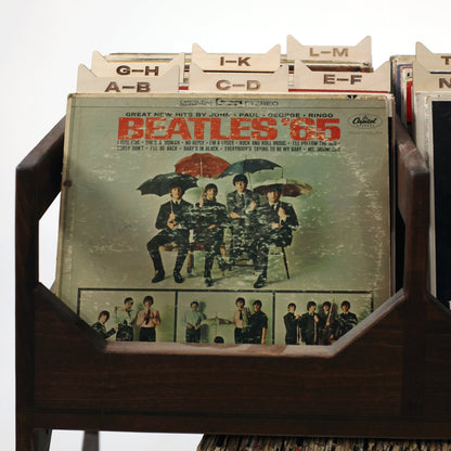 The Vinyl Record Dividers - Tampa Home & Garden Store