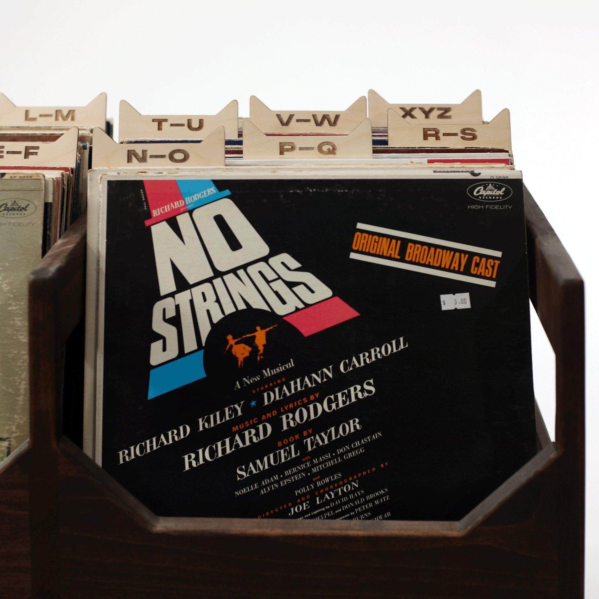 The Vinyl Record Dividers - Tampa Home & Garden Store