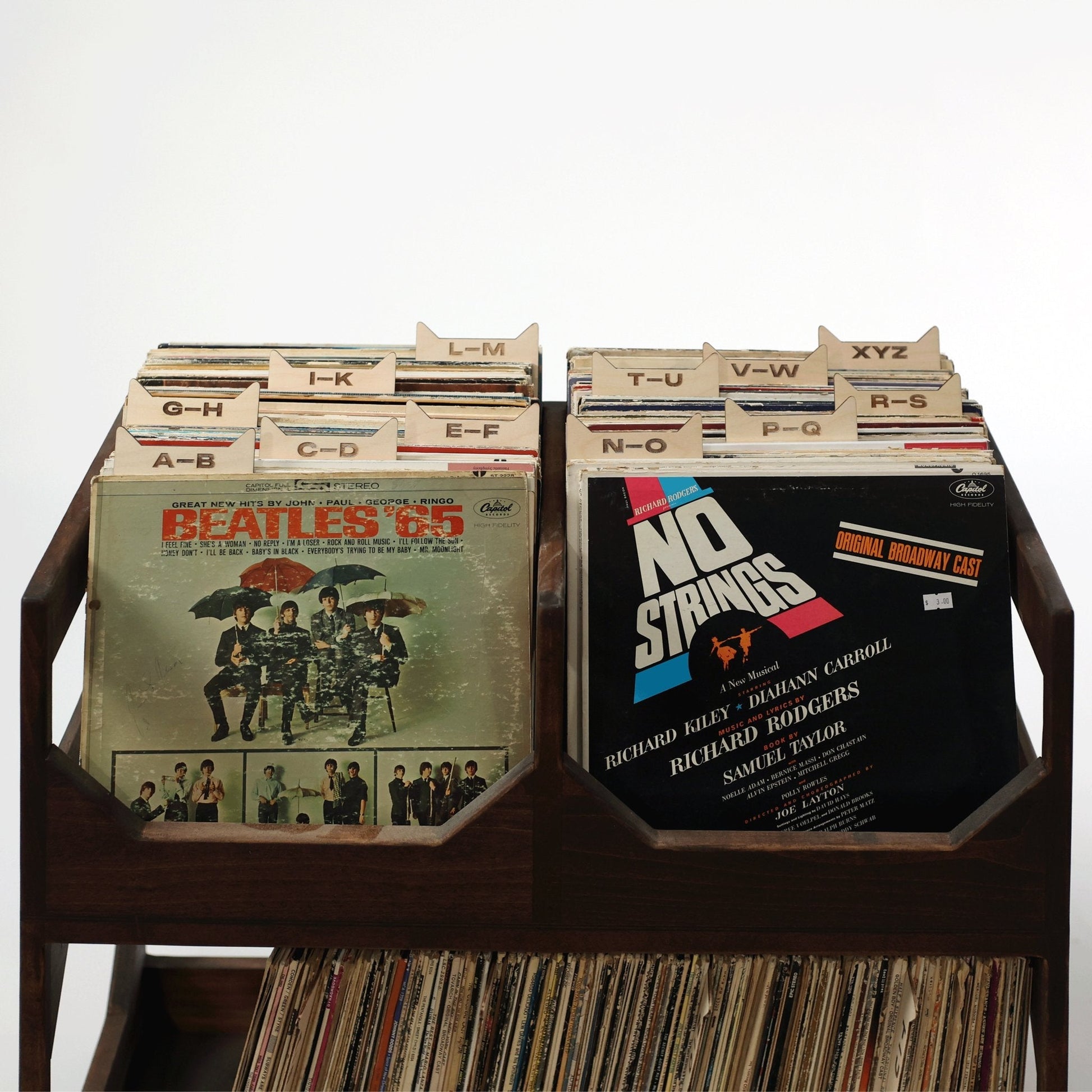 The Vinyl Record Dividers - Tampa Home & Garden Store
