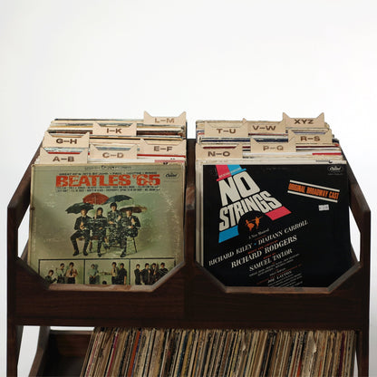 The Vinyl Record Dividers - Tampa Home & Garden Store
